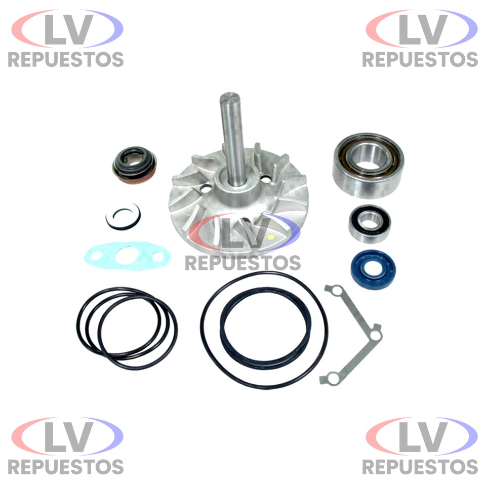 REPARO BOMBA DE AGUA MOTOR VL NL360/400 EJE FINO SCHADEK