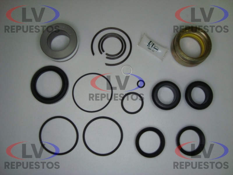 REPARO CILINDRO ALZA CABINA S4 RDA